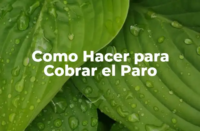Como Hacer para Cobrar el Paro 2 ¿Qué es el Paro de Desempleo?
