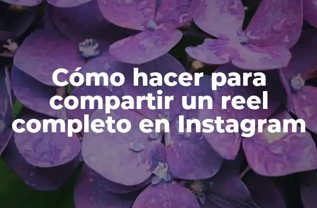 Cómo Hacer para Compartir un Reel Completo en Instagram