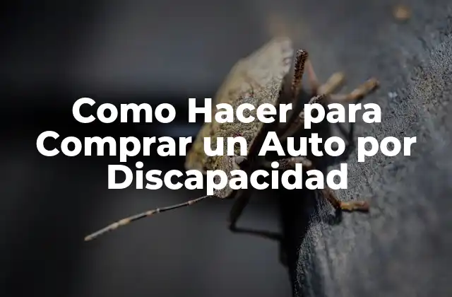 Como Hacer para Comprar un Auto por Discapacidad 2 ¿Qué es un Auto por Discapacidad?