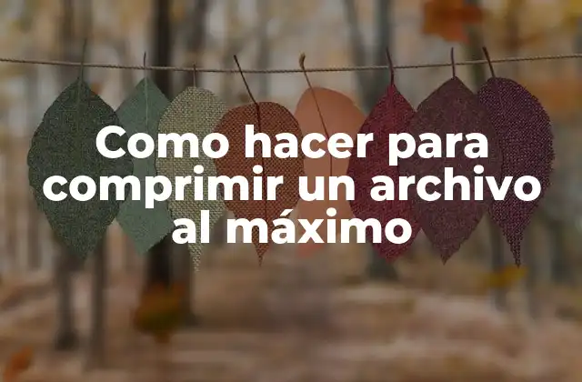 Como Hacer para Comprimir un Archivo Al Máximo
