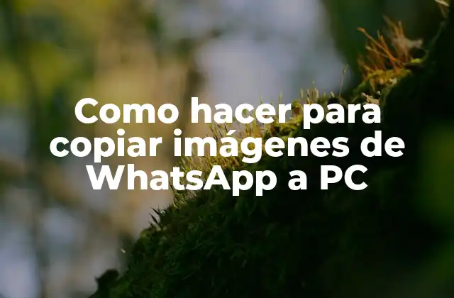 ¿Qué es WhatsApp y cómo se utilizan las imágenes en la plataforma?