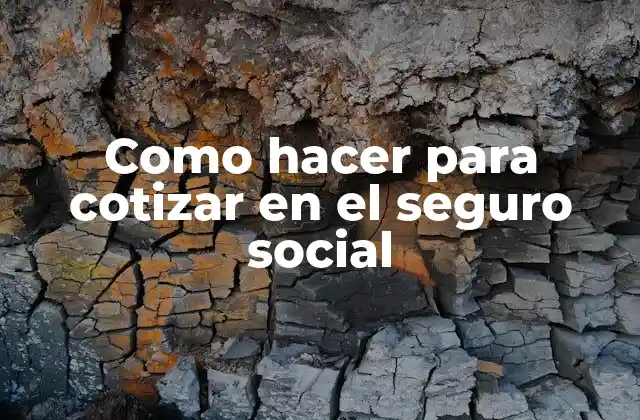 Como Hacer para Cotizar en el Seguro Social