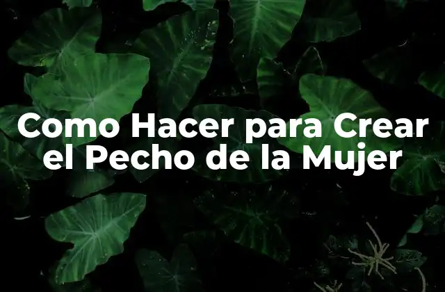 Como Hacer para Crear el Pecho de la Mujer