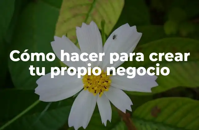Cómo Hacer para Crear Tu Propio Negocio
