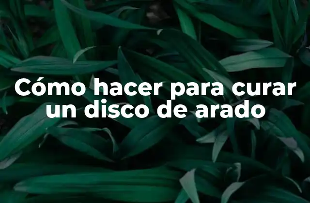 Cómo Hacer para Curar un Disco de Arado