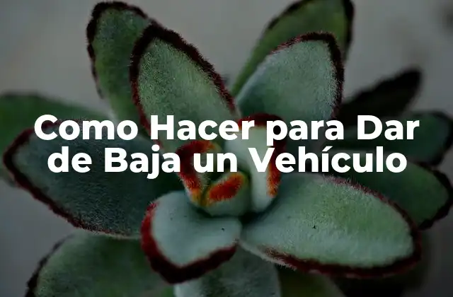 Como Hacer para Dar de Baja un Vehículo