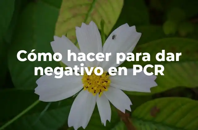 Cómo Hacer para Dar Negativo en Pcr