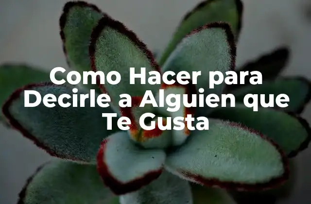 ¿Qué es Decirle a Alguien que Te Gusta?
