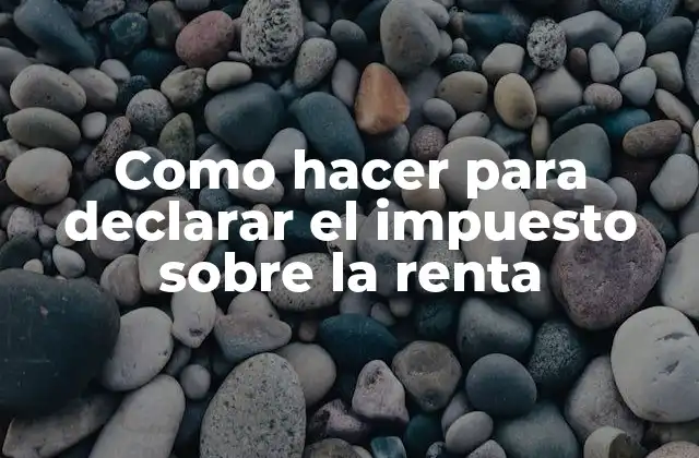Como Hacer para Declarar el Impuesto sobre la Renta