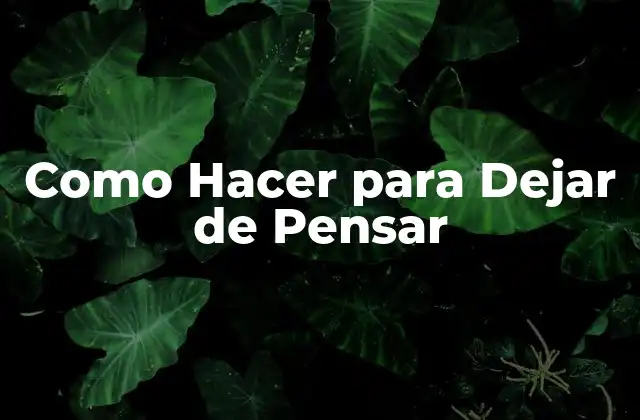 Como Hacer para Dejar de Pensar