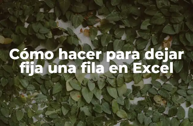 Cómo Hacer para Dejar Fija una Fila en Excel