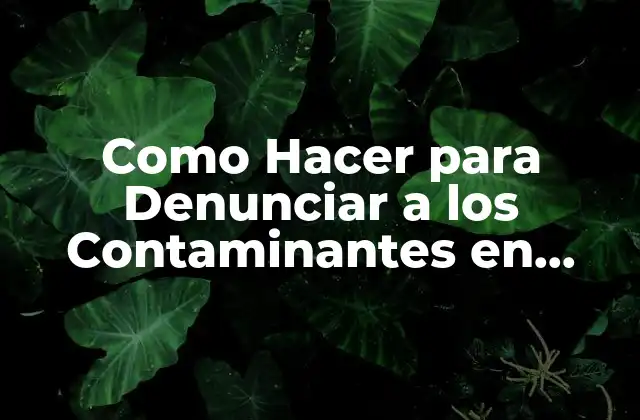 Como Hacer para Denunciar a los Contaminantes en Paraguay
