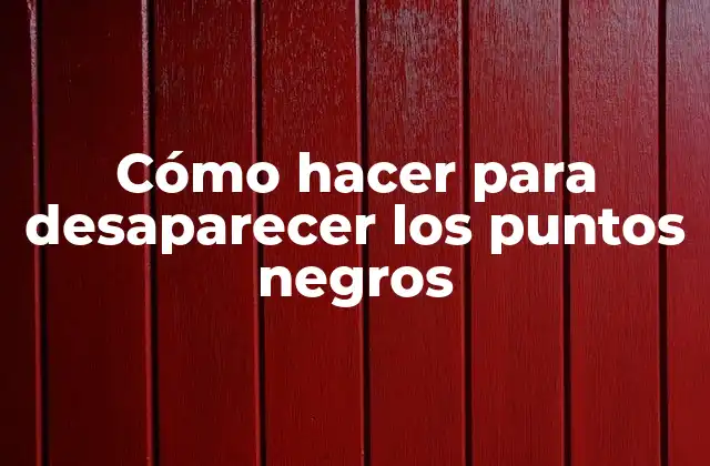 Cómo Hacer para Desaparecer los Puntos Negros