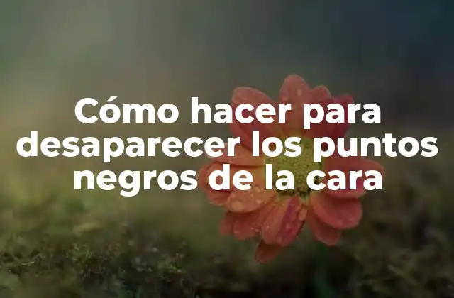 Cómo Hacer para Desaparecer los Puntos Negros de la Cara