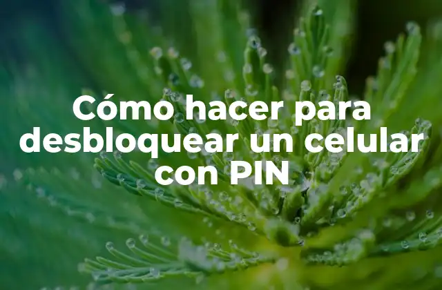Cómo Hacer para Desbloquear un Celular con Pin