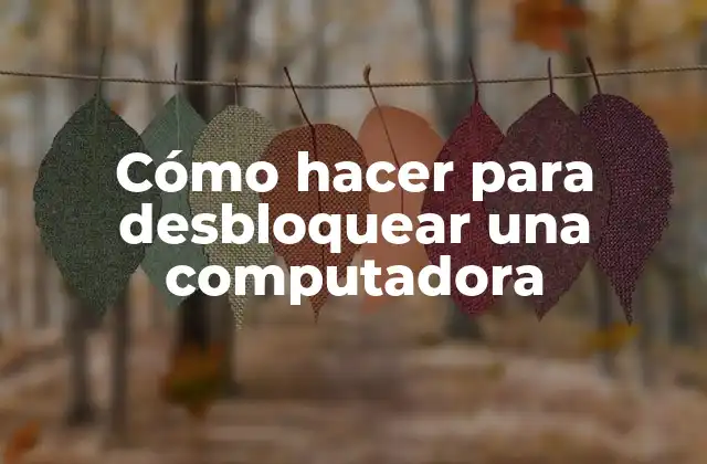 Cómo Hacer para Desbloquear una Computadora