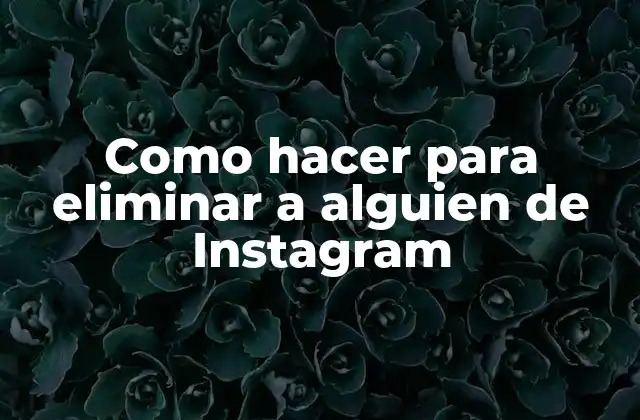 Como Hacer para Eliminar a Alguien de Instagram