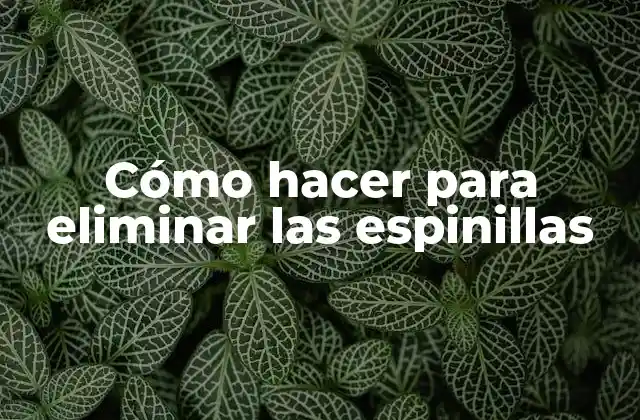 Cómo Hacer para Eliminar las Espinillas