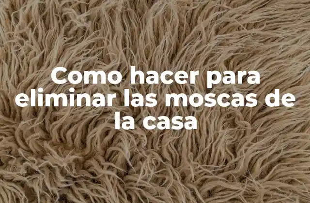 Como Hacer para Eliminar las Moscas de la Casa