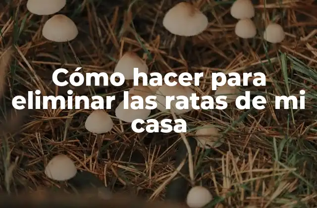 Cómo Hacer para Eliminar las Ratas de Mi Casa