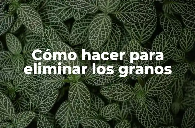 Cómo Hacer para Eliminar los Granos