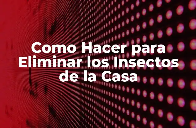 Como Hacer para Eliminar los Insectos de la Casa