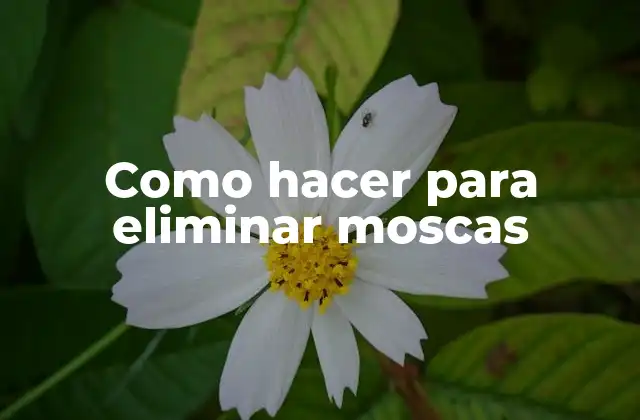 ¿Qué son las moscas y cómo se eliminan?