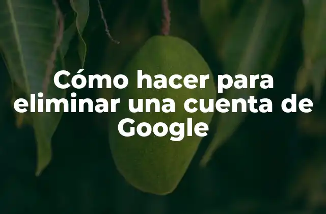 Cómo Hacer para Eliminar una Cuenta de Google
