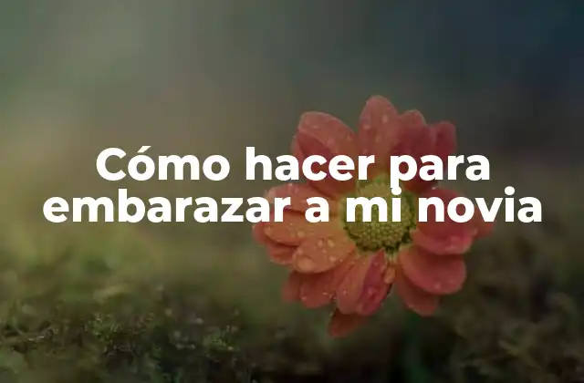 Cómo Hacer para Embarazar a Mi Novia