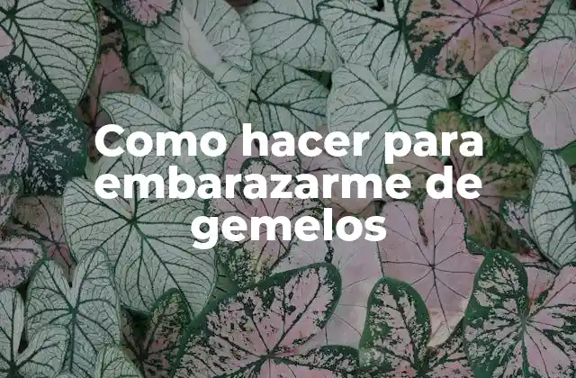 Como Hacer para Embarazarme de Gemelos