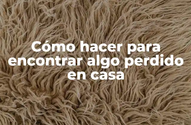 Cómo Hacer para Encontrar Algo Perdido en Casa