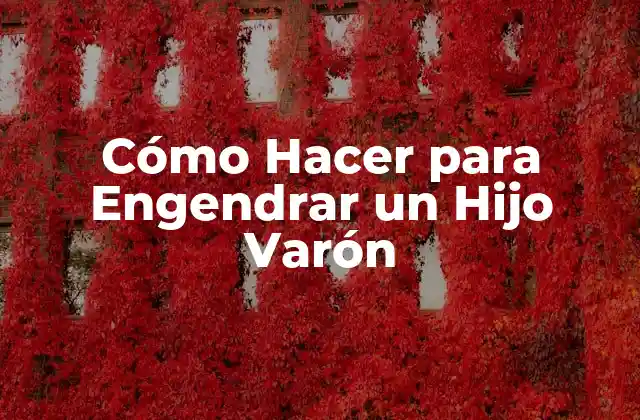 Cómo Hacer para Engendrar un Hijo Varón