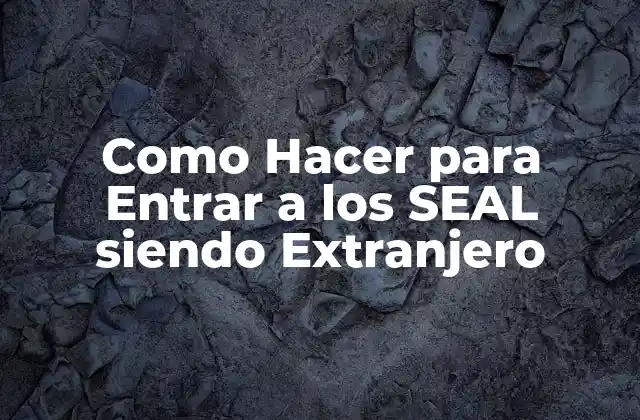 Como Hacer para Entrar a los Seal Siendo Extranjero