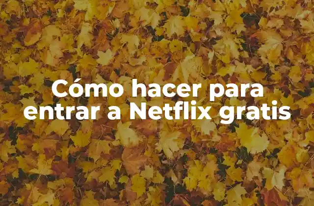 Cómo Hacer para Entrar a Netflix Gratis