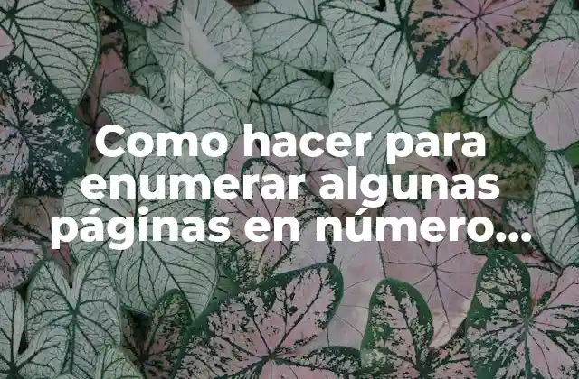 Como Hacer para Enumerar Algunas Páginas en Número Romano
