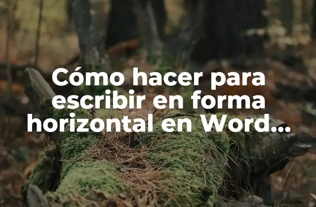 Cómo Hacer para Escribir en Forma Horizontal en Word 2016 2 Cómo hacer para escribir en forma horizontal en Word 2016