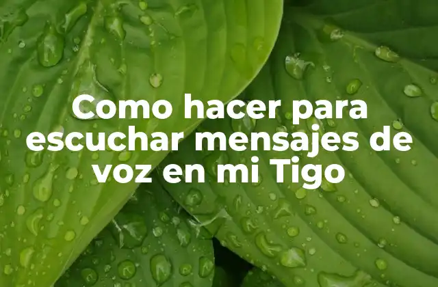 Como Hacer para Escuchar Mensajes de Voz en Mi Tigo