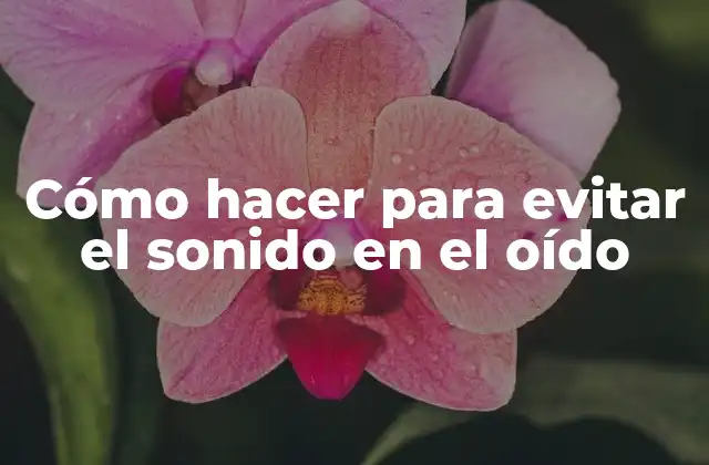 Cómo Hacer para Evitar el Sonido en el Oído 2 ¿Qué es evitar el sonido en el oído?