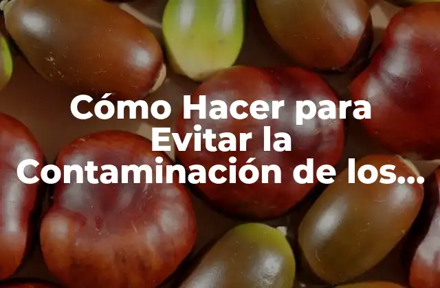 Cómo Hacer para Evitar la Contaminación de los Mares 2 Contaminación de los Mares