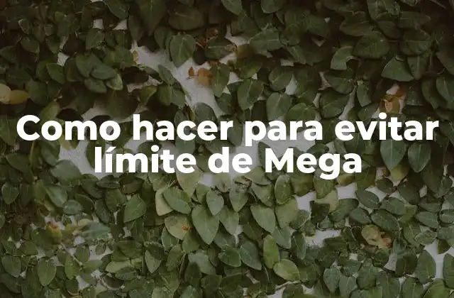 Como Hacer para Evitar Límite de Mega