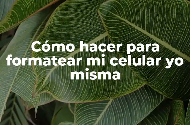 Cómo Hacer para Formatear Mi Celular Yo Misma