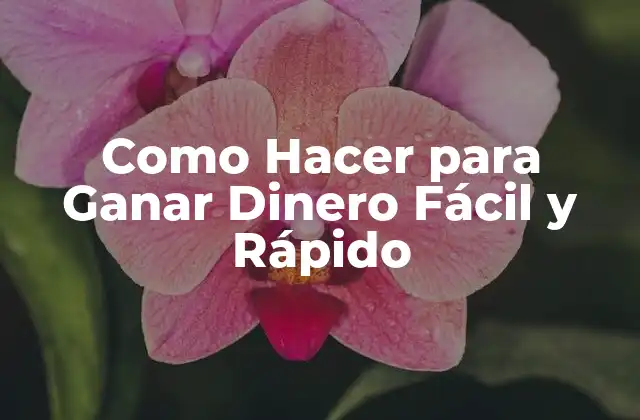 Como Hacer para Ganar Dinero Fácil y Rápido