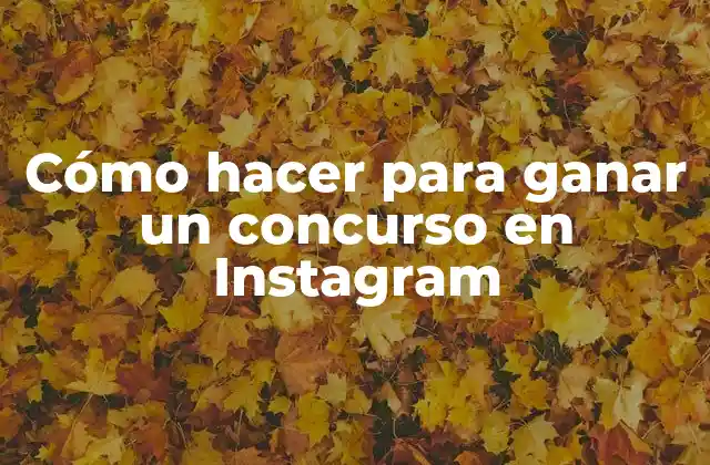 Cómo Hacer para Ganar un Concurso en Instagram