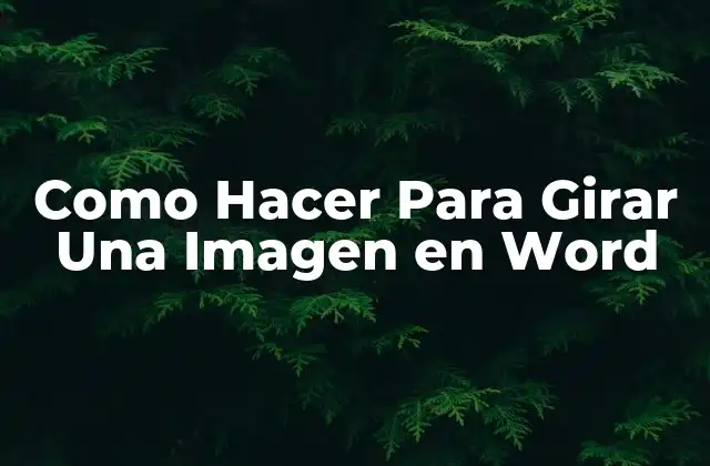 Como Hacer para Girar una Imagen en Word
