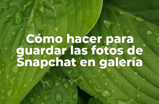 Cómo Hacer para Guardar las Fotos de Snapchat en Galería