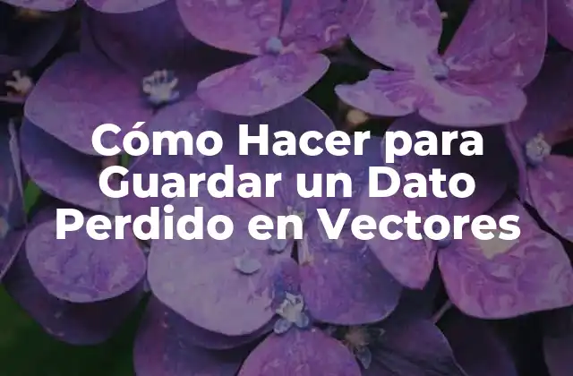 ¿Qué es un Vector y Cómo se Usa?