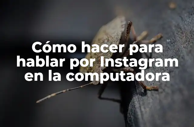 Cómo Hacer para Hablar por Instagram en la Computadora