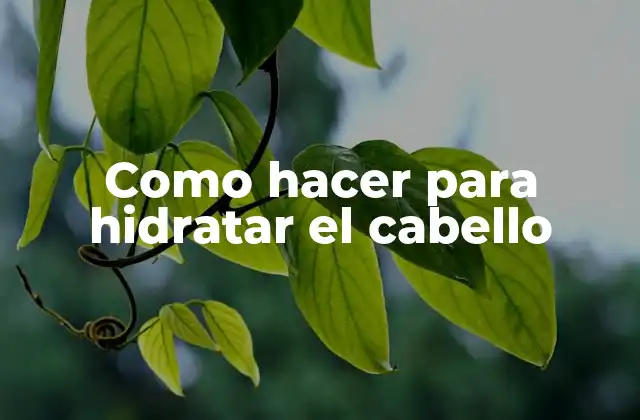 Como Hacer para Hidratar el Cabello