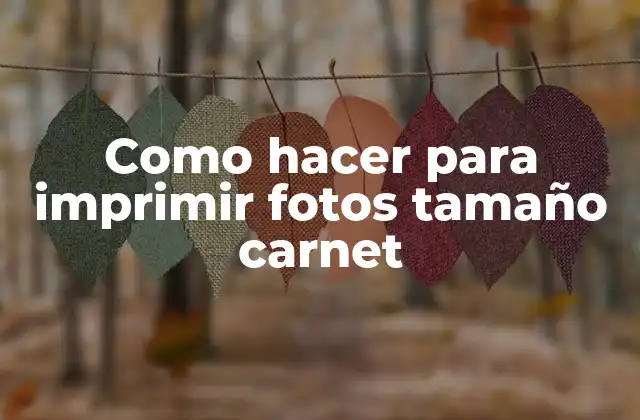 Como Hacer para Imprimir Fotos Tamaño Carnet