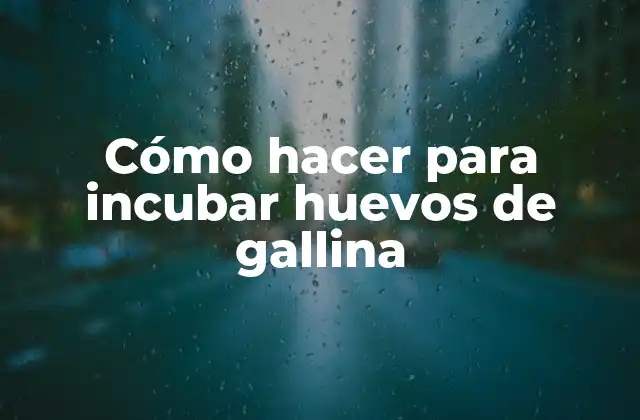 Cómo Hacer para Incubar Huevos de Gallina